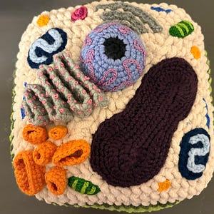 Crochet Plant Cell with Organelles | Amigurumi | Eukaryotic Cell | Handmade Scientific Model