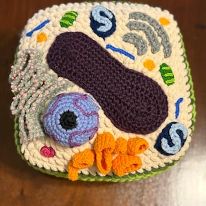 Crochet Plant Cell with Organelles | Amigurumi | Eukaryotic Cell | Handmade Scientific Model