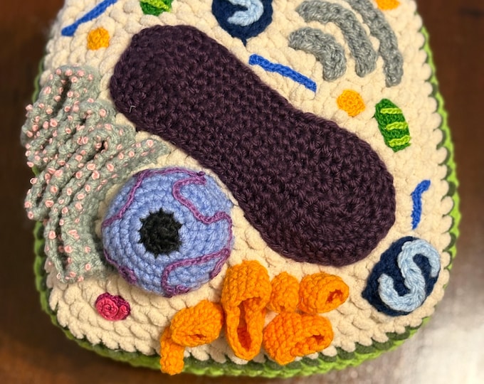 Crochet Plant Cell with Organelles | Amigurumi | Eukaryotic Cell | Handmade Scientific Model