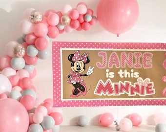 Custom Hand Painted Birthday Banner | Kraft Paper Party Sign | Any Age | Personalized Name Banner Minnie