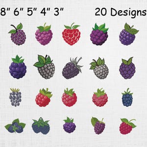 May include: An image featuring 20 different designs of various berries, including raspberries, blackberries, and blueberries. The berries are depicted in a colorful, cartoon style, with green leaves and stems. The image also includes the text "20 Designs" at the top.