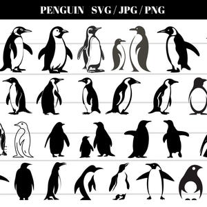 May include: A collection of penguin illustrations in various poses and styles, rendered in black and white. The image includes the text "PENGUIN SVG / JPG / PNG" at the top, indicating the file formats available for download.