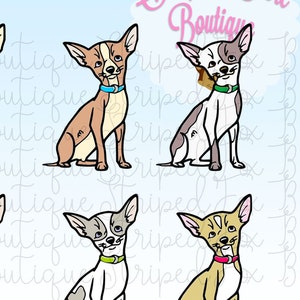 May include: Six different coloured chihuahua dog illustrations. The dogs are all sitting with their tails curled. The dogs are all wearing collars with different coloured tags. The text "Striped Fox Boutique" is in the top right corner of the image.