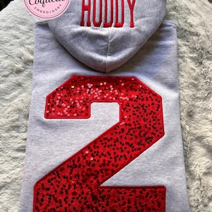 Custom Sequin Number Hoodie – Personalized Front, Back & Hood Embroidery – 3D Puff or Flat Front Design, Adult Custom Hoodie image 9