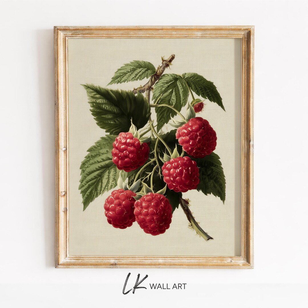 Vintage Raspberry Themed Decor Vintage Raspberries Botanical Print – Antique Style Kitchen Wall Art ...