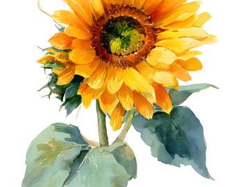 Sonnenblume Wand Kunst Druck, Aquarell Gelbe Blumen Malerei, Helle Botanische Dekoration, Landhaus Bauernhaus Dekor
