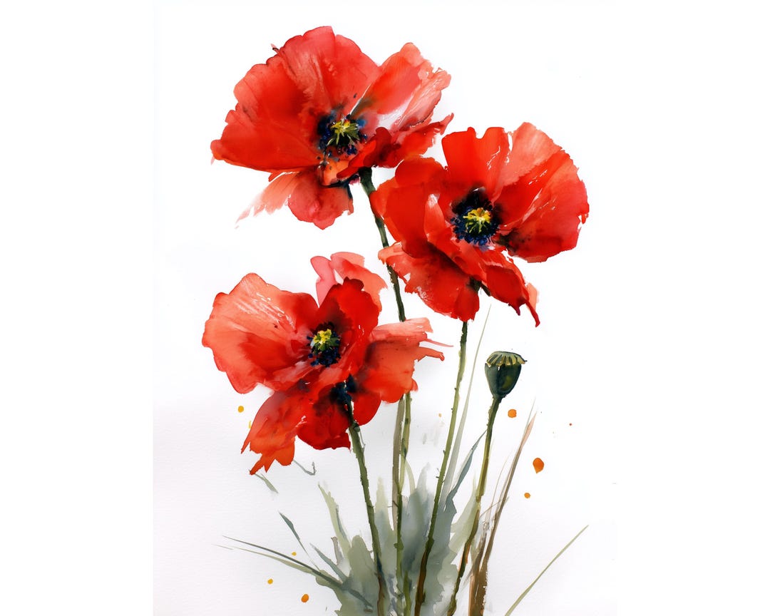 Red Poppy Watercolor Print: Minimalist Floral Wall Art - Etsy