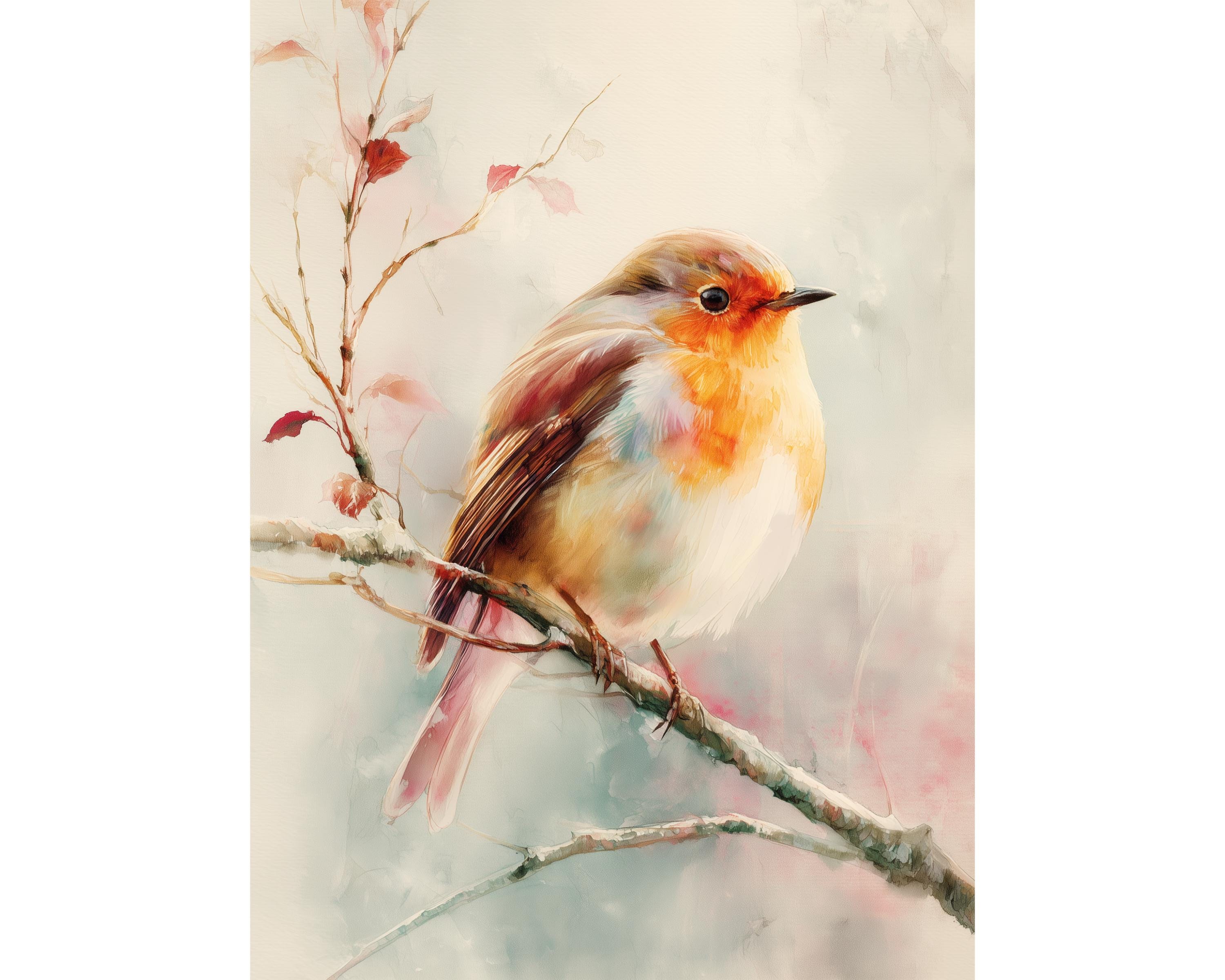 Roodborstje aquarel - Etsy België, image size:3000x2400