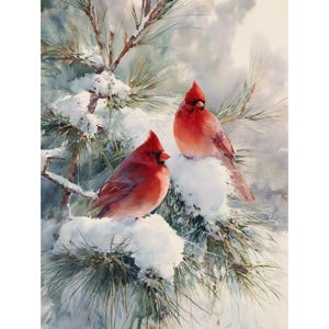 May include: A watercolour painting of two red cardinal birds perched on a snow-covered pine branch. The birds have vibrant red plumage against a backdrop of soft, snowy textures and evergreen needles.