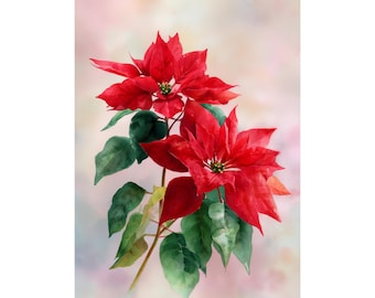 ポインセチアの絵画 クリスマスの花 水彩画 花のアートプリント 赤い