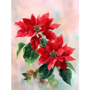 Poinsettia Watercolor Print: Red Christmas Flower, Botanical Wall Art