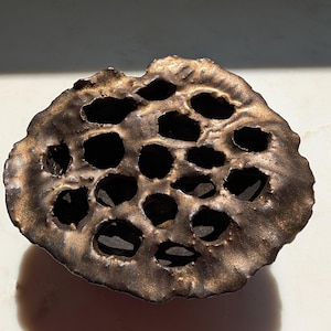 May include: A circular, bronze-colored metal object with a textured, uneven surface featuring multiple hollow, dark, irregular openings throughout its top, resembling the structure of a dried lotus seed pod with a metallic finish.