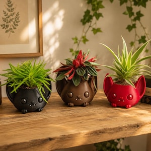 Op de afbeelding: Drie kleine plantenbakjes in de vorm van vleermuiskoppen in zwart, bruin en rood. Elk bakje heeft grote ronde oren, wijde ogen en twee kleine hoektanden. Het zwarte bakje bevat een groene vetplant, het bruine een plant met rode bladeren en het rode een stekelige groene plant.
