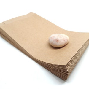 100 Recycled - Biodegradable - Compostable Brown Kraft Bags - Plain 5" x 7.5" Made in USA