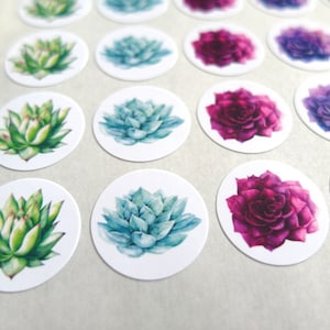 Pegatinas suculentas - Hecho por encargo
