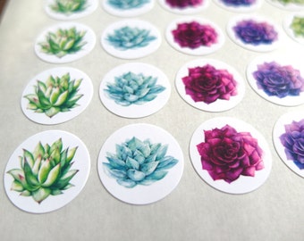 Succulent Stickers - Made to Order