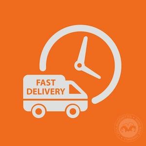 Fast delivery
