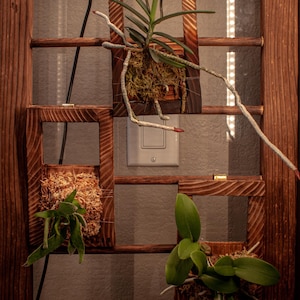 Epiphytische Zierniete: Unbehandelte Zeder, Yakisugi Finish, Naturmaterialien