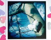 SALE Blue wall art, signed photograph of fabric heart in bare tree branches. Title High heart. Valentine gift.