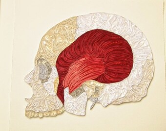 Quilled skull, Fine art anatomical diagram, framed quilled fine art, doctor decor