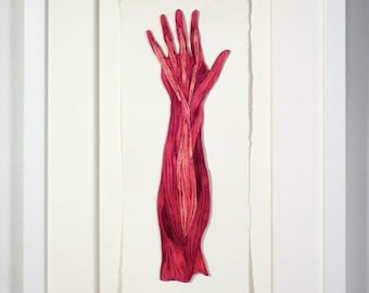 Quilled anatomical hand, Fine art anatomical diagram, framed quilled fine art, doctor decor