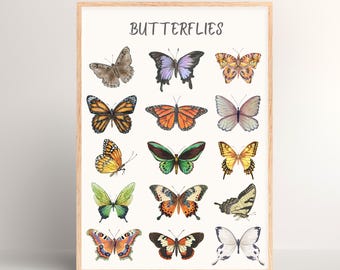 Butterfly Poster for Kids Educational Wall Art Butterfly Identification Chart Montessori Nature Printable Digital Download