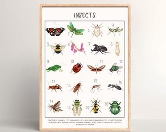 Pósteres educativos de insectos, decoración Montessori con acuarela para el hogar, decoración de pared para aulas preescolares, impresiones descargables