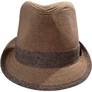 A Stylish Fedora