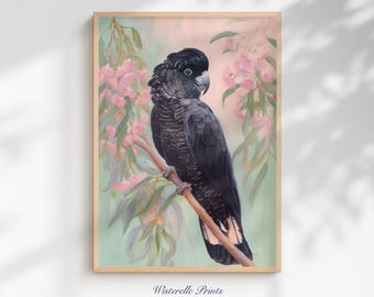 Black Cockatoo Wall Art Print Pastel Bird Painting: Australian Animal Artwork for Wildlife Nursery (Digital Download)