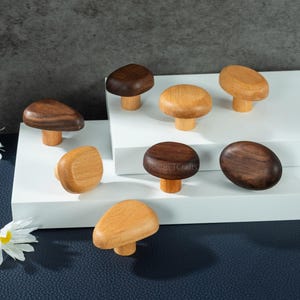 Op de afbeelding: Een verzameling paddenstoelvormige houten knoppen in verschillende bruine en natuurlijke houttinten. De knoppen worden getoond op een wit oppervlak tegen een donkerblauwe achtergrond. De tekst "SECRETcrafts" is zichtbaar op een van de knoppen.