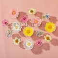 Colorful Flower Dresser Knobs:White Blue Pink drawer knobs,Mini Resin Cabinet Knob product logo