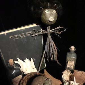 May include: A still life featuring a book titled "Witchcraft Magic and Alchemy", a small brown frog in a cauldron, a small bottle labeled "Jezebel Root", a small bottle labeled "Mandrake Tincture", a skull, a seashell, and a twig doll with a black hair wig and a clay face.