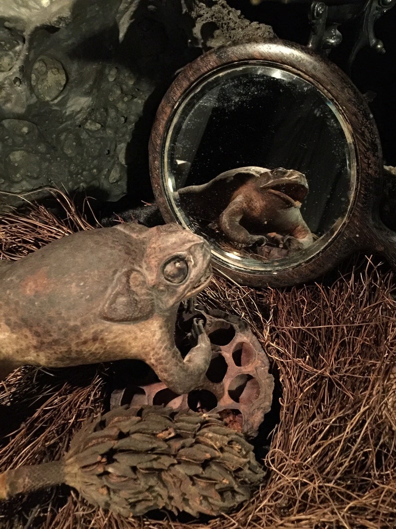 skull hand mirror skull hand mirror