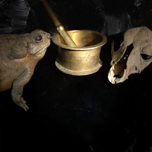 Antique Apothecary Mortar and Pestle at Gothic Rose Antiques