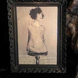 Circus Sideshow Half Woman Reprint in Fancy Vintage Frame - &quot;Violetta&quot; at Gothic Rose Antiques