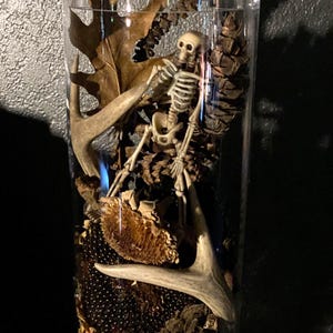 Tall Vintage Apothecary Nature Jar - Store Counter Display Jar with Horns and Faux Skeleton - 24&quot; tall