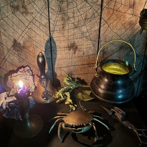 May include: A brass bell with a pentagram charm, a small black cauldron with a gold handle, a metal crab figurine, a brass candle holder with a lit purple candle, and metal tongs arranged together against a wooden background with a spiderweb.
