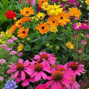May include: A vibrant garden bed filled with a variety of colorful flowers. The image showcases bright orange, yellow, pink, and purple blooms, creating a lively and cheerful display. Green foliage provides a backdrop for the diverse floral arrangement.