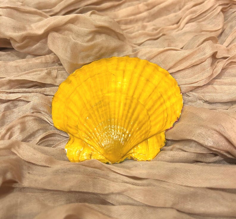 Shells Ridges Yellow Decoupaged Floral Shell - Etsy