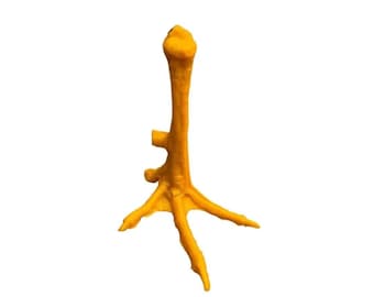 Plastic Gamefowl Feet