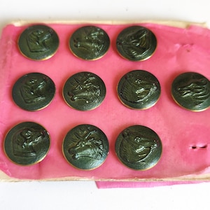 Peut inclure: Un ensemble de onze boutons circulaires disposés sur un support rose. Chaque bouton est vert foncé avec un bord doré métallique et présente un motif en relief d'une tête d'animal, incluant chiens, cerfs et chevaux, de forme ronde uniforme.