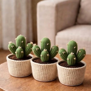 Crochet Cactus Pot, Handmade Amigurumi Succulent in Pot, Cute Plush Cactus Plant, Gift for Plant Lover, Desk Decor, Boho Home R-14032601