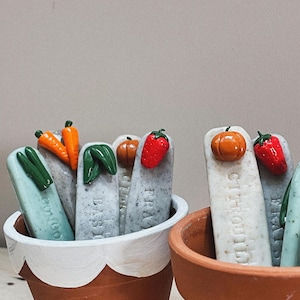 Tuinpaaltjes, markeringen voor aardbeien, basilicum, wortelen...
