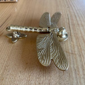 May include: A brass dragonfly door knocker. The dragonfly has detailed wings and a segmented body. The knocker is mounted on a small, flower-shaped base. The hardware is a shiny gold colour.