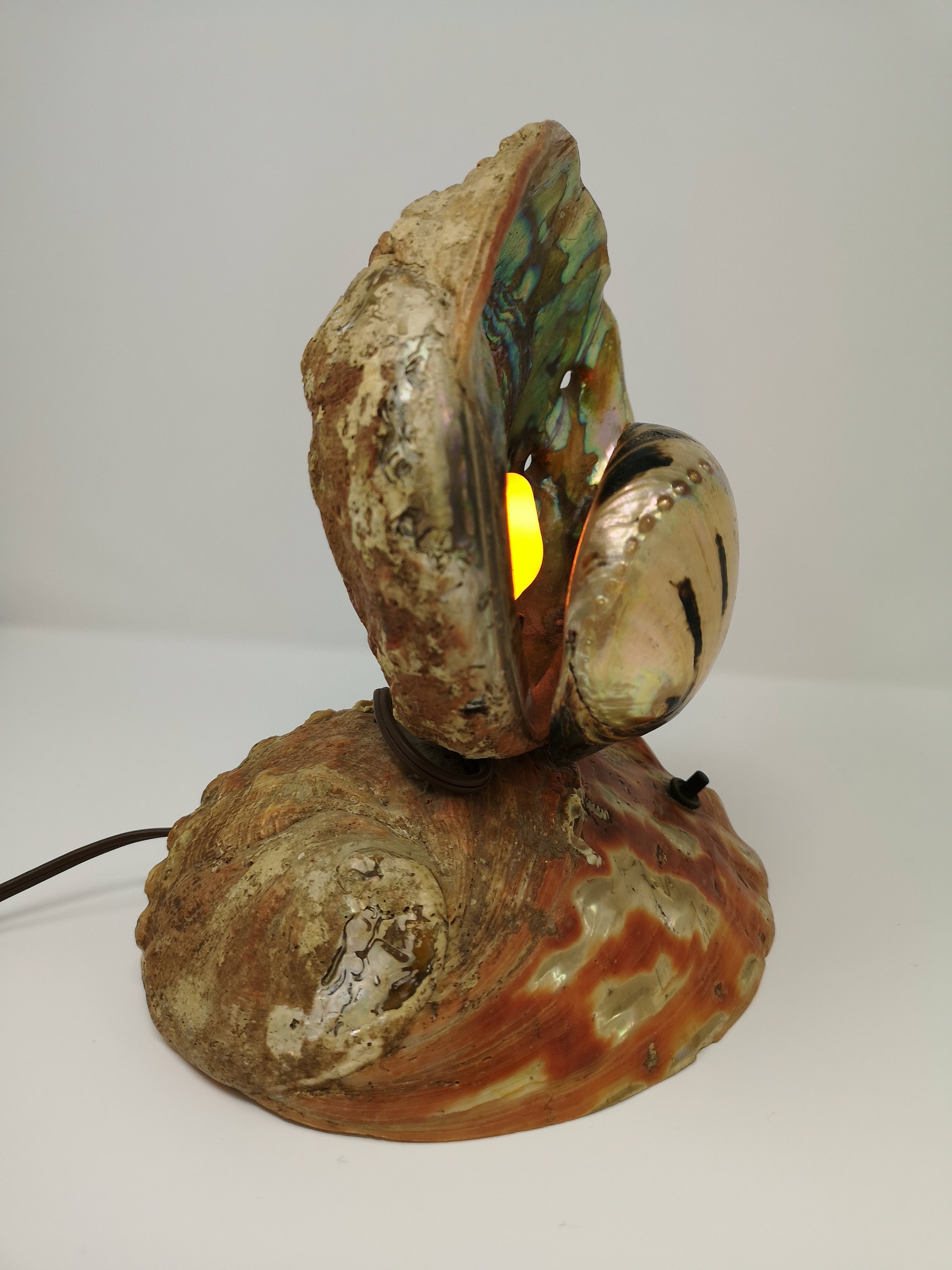 Buy the Vintage Retro Abalone Shell Leviton Lamp