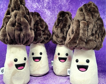 Prairie Plush Morel Mushroom