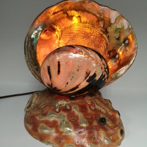 Vintage Retro Abalone Shell Leviton Lamp