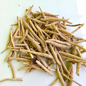 Bio-Ashwagandha Wurzel • Withania Somnifera • Großhandel für natürliche Asgandh Suvarnaksheeri • Handbezogende heilige authentische indische Kräuter E