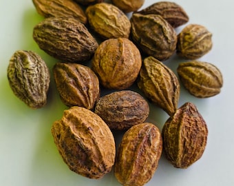 Fruta orgánica de Harad (Terminalia Chebula) / Hierba ayurvédica Haritaki / Ingrediente Triphala / Hierba digestiva y desintoxicante natural / Exportación a granel desde