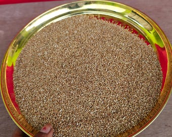 Biologische Kodo-Hirse • Ganze gereinigte Samen • Hochwertiges gesundes Getreide • Indische Hirsen • Natürliche Exportqualität von VrindavanHerbs